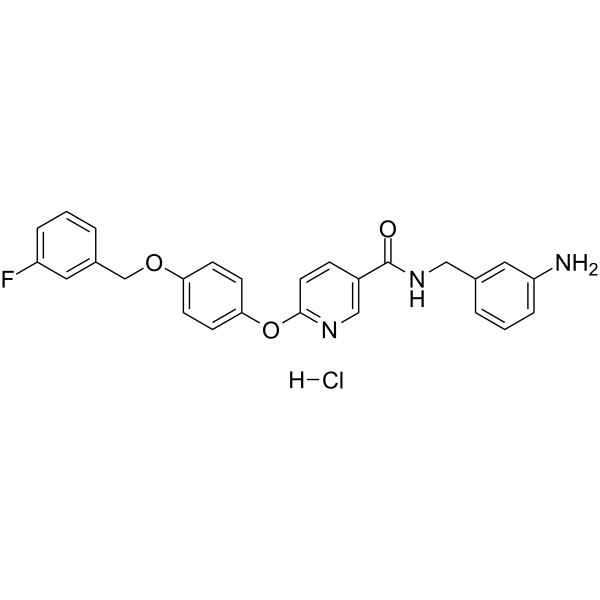 YM-244769 HCl 837424-39-2